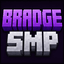 BradgeSMP server icon