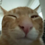 BuhSMP server icon