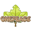 Onepeace server icon