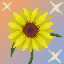 Sunflower SMP server icon