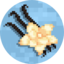 Vanillarealms server icon