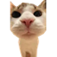 Meepcraft server icon