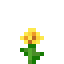 DandelionSMP server icon