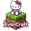 Evoricraft server icon