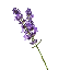 LavenderMC server icon
