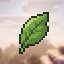MatchaSMP server icon