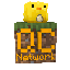 Quackcraft server icon