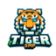 TigerSMP server icon