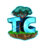 Togethercraft server icon