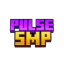 PulseSMP server icon