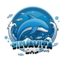 Silvavita server icon