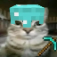 MCserv server icon